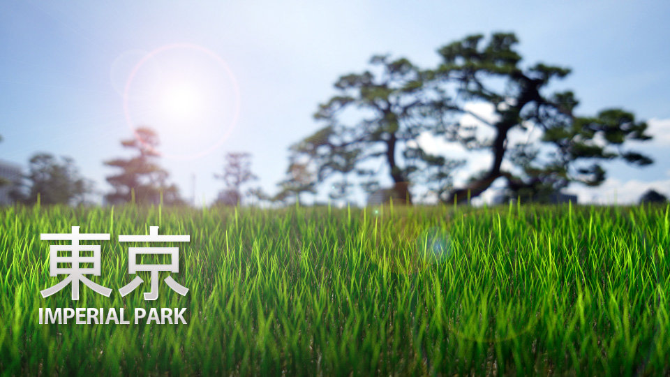Blender grass -Tokyo imperial park